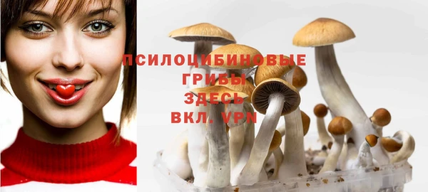 apvp Мегион