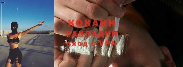 ПСИЛОЦИБИНОВЫЕ ГРИБЫ Медвежьегорск