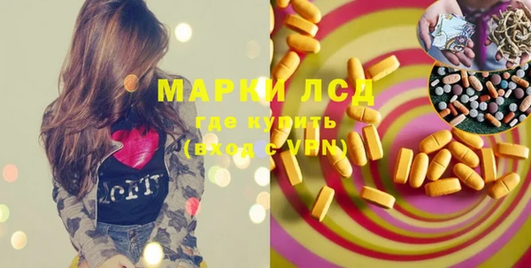 ПСИЛОЦИБИНОВЫЕ ГРИБЫ Медвежьегорск
