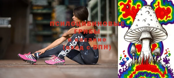 ПСИЛОЦИБИНОВЫЕ ГРИБЫ Медвежьегорск